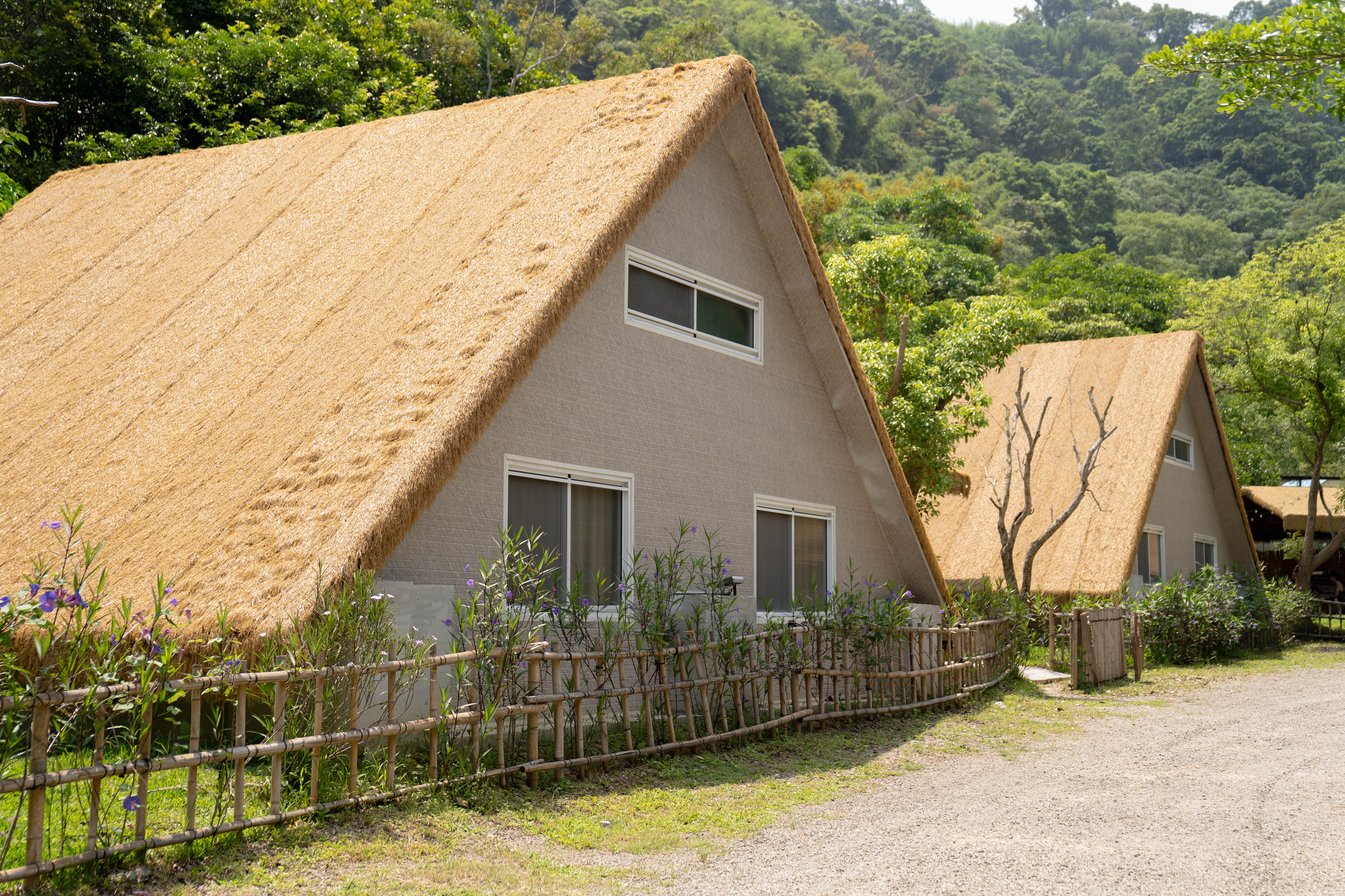 不遠山莊大草原