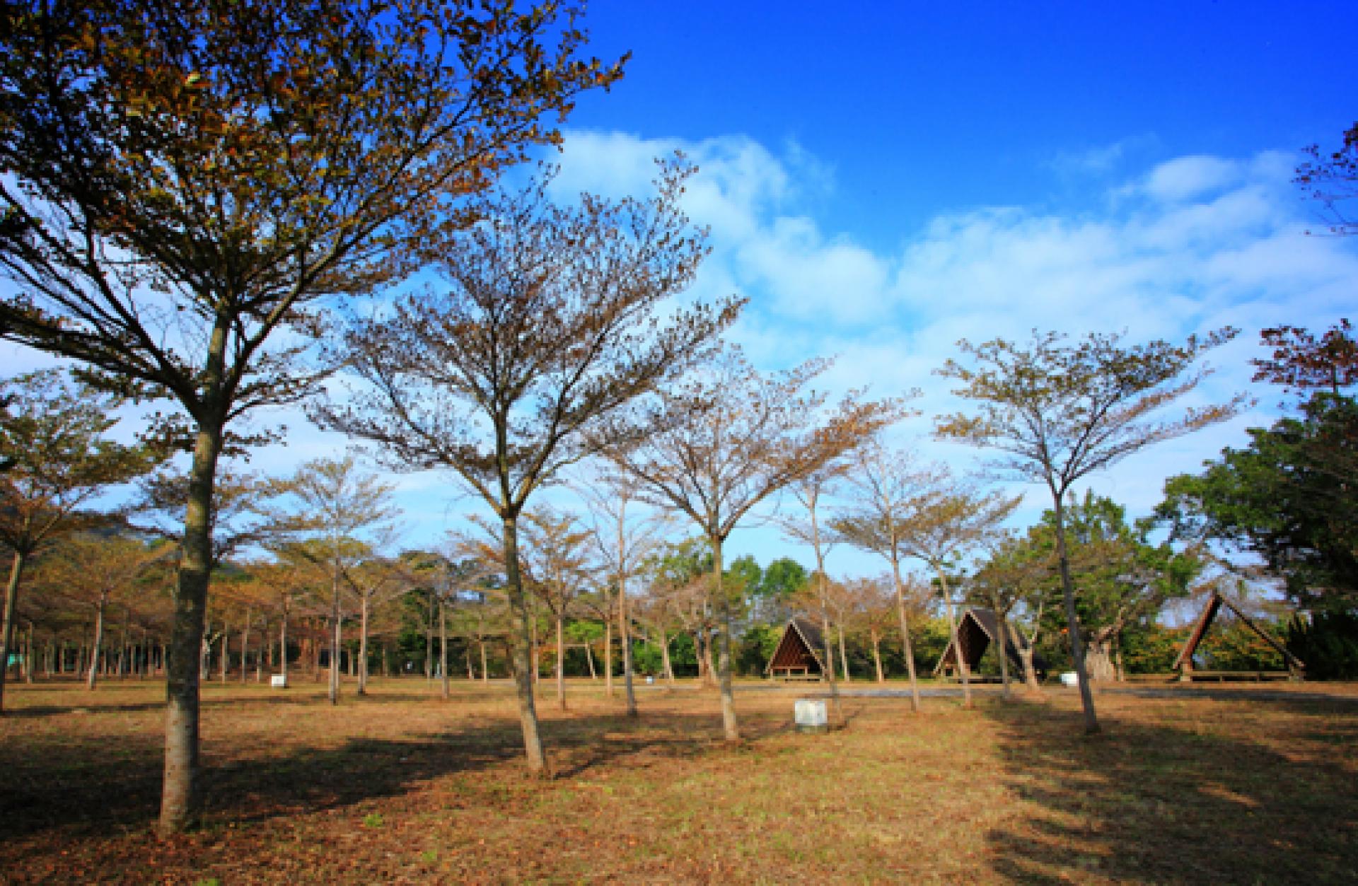 欖仁樹區 (一至二帳包區)